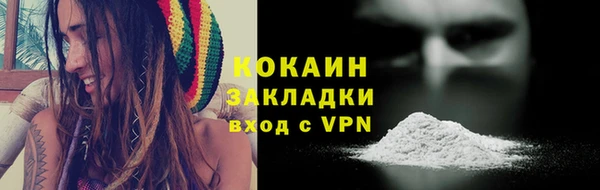 дживик Бородино