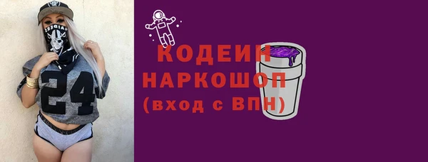 дживик Бородино