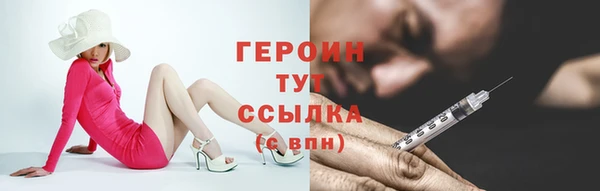 spice Богородицк