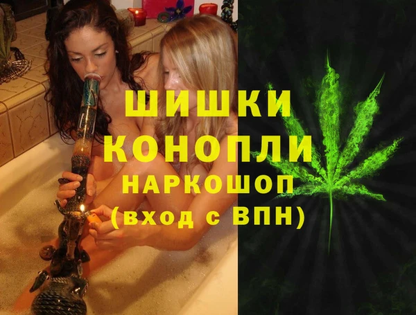 дживик Бородино