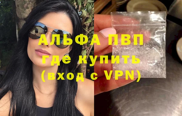 дживик Бородино
