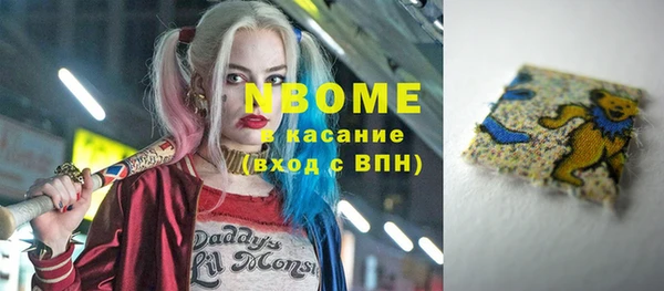 дживик Бородино