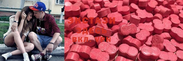 spice Богородицк