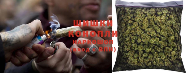 дживик Бородино